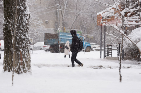 39 ақпан сияқты: Алматыда толассыз қар жауды
