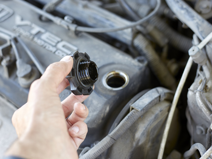 Мотор май жейді - massaget.kz