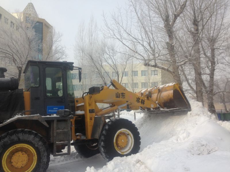 Астанада мынадай қар үйнділері таңсық емес...