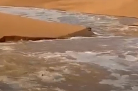 Арабияда өзендер мен көлдер пайда болып жатыр деген видео тарады. Бұл рас па?