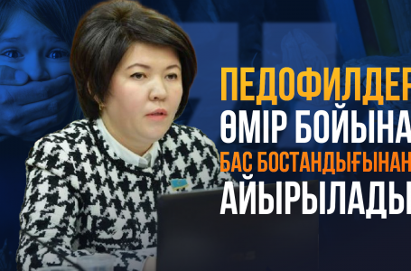 “Педофилдер өмір бойына бас бостандығынан айырылады”. Мәжілістің жалпы отырысы: 21.02.24